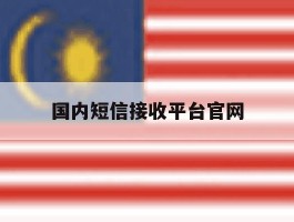 国内短信接收平台官网