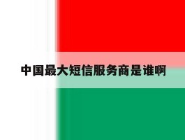 中国最大短信服务商是谁啊