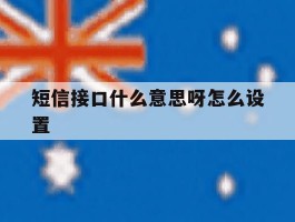 短信接口什么意思呀怎么设置