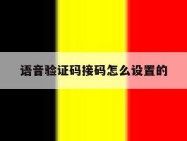 语音验证码接码怎么设置的