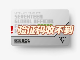 网站短信验证加入会员什么意思啊