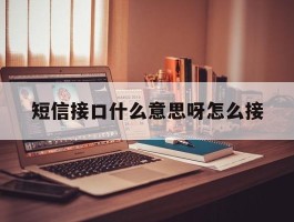 短信接口什么意思呀怎么接