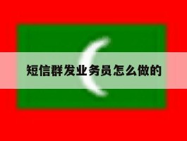 短信群发业务员怎么做的