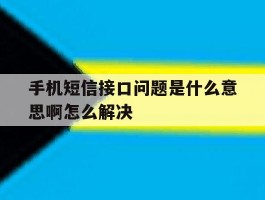 手机短信接口问题是什么意思啊怎么解决