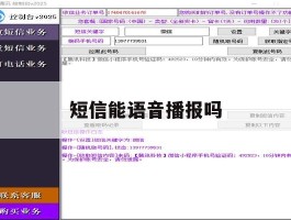 短信能语音播报吗