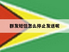群发短信怎么停止发送呢
