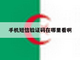 手机短信验证码在哪里看啊
