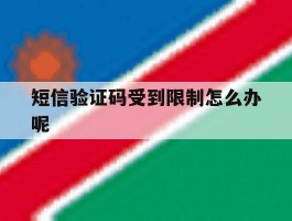 短信验证码受到限制怎么办呢