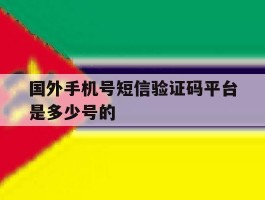 国外手机号短信验证码平台是多少号的