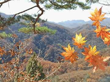 短信验证码花钱吗安全吗